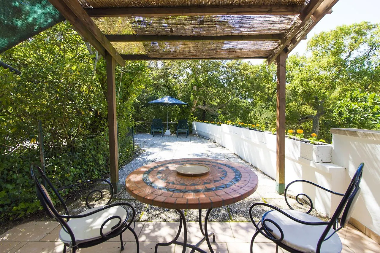 Residence Oasis Campiglia Marittima